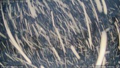 Rifugio Dahu di San Bernolfo