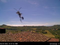 Vista Monviso e vallata Barbaresco